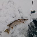���� �������, �����, 59 ��� - ��������� 4 ��� 2021 � ������ ���� ����������