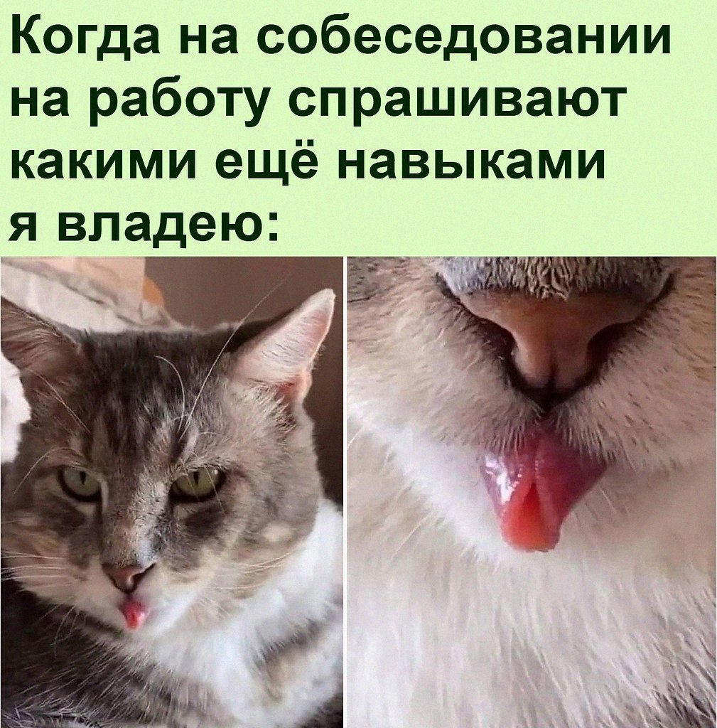   :D - 12  2021  23:31