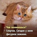 ���� �����, ������ - ��������� 23 ������� 2021