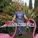 ���� �����, �������� - ��������� 20 �������� 2021