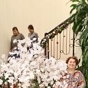 ���� ������, ����, 56 ��� - ��������� 4 ������ 2022 � ������ ���� ����������