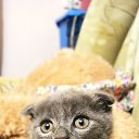 ���� Liliya, ���� - ��������� 10 �������� 2021 � ������ ������ ��������