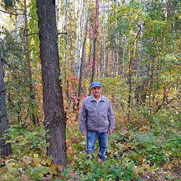 ���������, ������, 68 ���