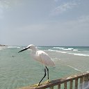 ���� �����, ����-���� - ��������� 14 ���� 2021 � ������ ���� ����������