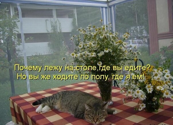    - 22  2021  01:37