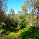 ���� Nick, ������ - ��������� 6 �������� 2021 � ������ ������ 2021 ���.�