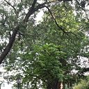 ���� �����...., �����, 44 ���� - ��������� 29 ���� 2021 � ������ ���� ����������