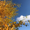 ���� ���������, ��������, 51 ��� - ��������� 27 �������� 2021 � ������ ���� ����������