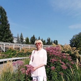 ����, ������, 61 ���