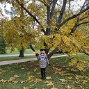 ���� �����, ������, 72 ���� - ��������� 7 ������� 2021 � ������ ���� ����������