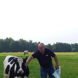 ���� �������, ������������, 39 ��� - ��������� 12 ���� 2021