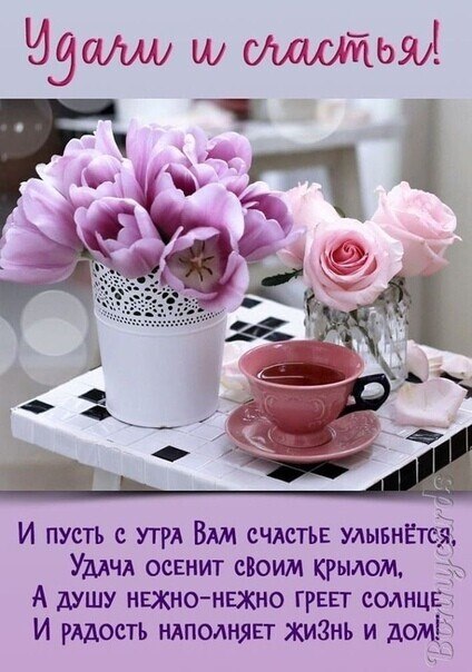 Доброго утра хочу пожелать вам! Пусть все задумки, мечты и идеи начнут воплощаться с этим солнечным ...