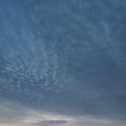 ���� Edson, �������, 43 ���� - ��������� 23 ��� 2021