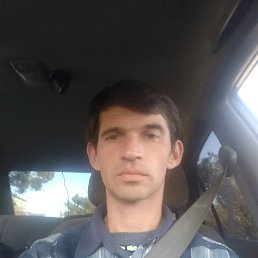 ���� ������, ���������, 42 ���� - ��������� 2 ��� 2021