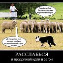 ���� Evi, ������ - ��������� 27 ������ 2021 � ������ ������ ��������