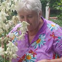 ���� ����, �������, 72 ���� - ��������� 28 ���� 2021