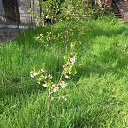 ���� ����, ������ - ��������� 10 ��� 2021 � ������ ���� ����