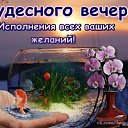 ���� ���, ����, 25 ��� - ��������� 31 ����� 2021 � ������ ���� ����������