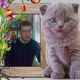 �������, ����, 48 ���