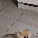 ���� ��������, ��������� - ��������� 30 ��� 2021 � ������ ���� ����������