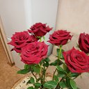 ���� ###�������*****, ������������� - ��������� 31 ������ 2022