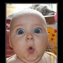 ������, ����������, 35 ���