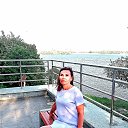  ,  , 50  -  16  2021    