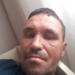 �����, ����������, 44 ����