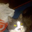 ���� Vladislav, ������, 52 ���� - ��������� 3 ��� 2021 � ������ ���� ����������