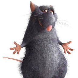 �������, �����, 53 ����