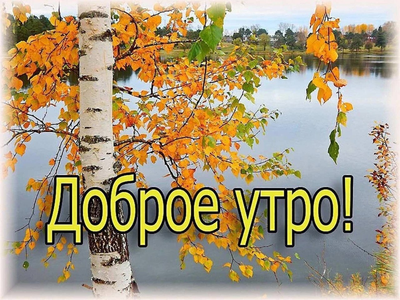 ����������� � ���������, �������� �� ������ ����. - 12 ������� 2021 � 00:10