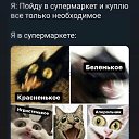���� V. I. P., �������� - ��������� 9 ���� 2021 � ������ ���� ����������