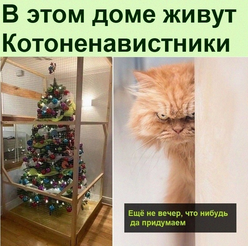   :D - 12  2021  17:17