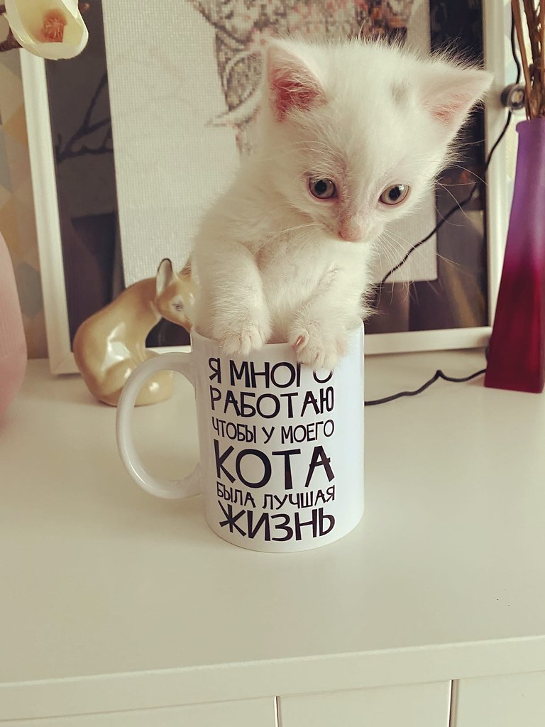  )))