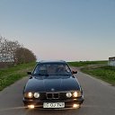 ���� ������, �������, 43 ���� - ��������� 7 ���� 2021 � ������ ���� ����������