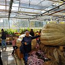 �������� 2021�. �. ������ . ������ ������� ������ � ������ ��� ������� ����� ������������ � ������. �� ������� ���� ����������