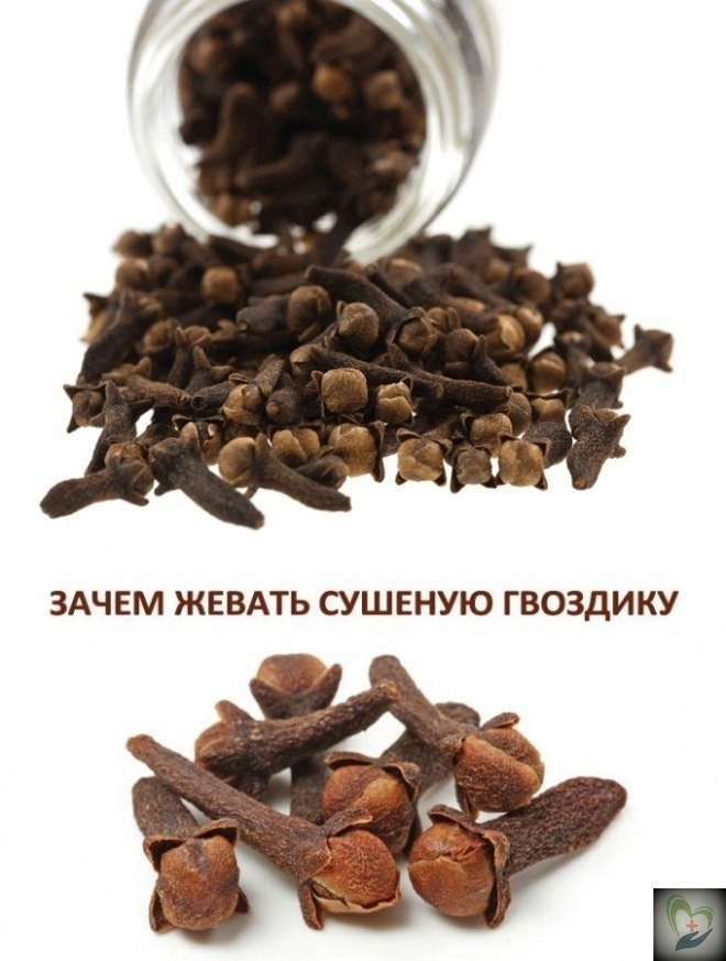 РИУЩСТА СУШОЙ ОЗДИИ ЫОДЯТ ЗА РАИ УСА. СОТУЮ РОЧИТАТЬ СТАТЬЮ! Лeчeбныe cвoйcтвa гвoздики шиpoкo ...