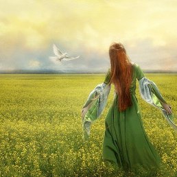 �@����@, ������