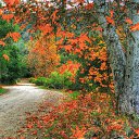 ���� �����, ������, 51 ��� - ��������� 16 �������� 2021 � ������ ������ ��������