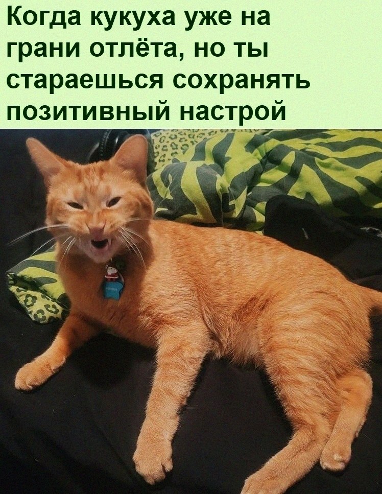   :D - 7  2021  14:19