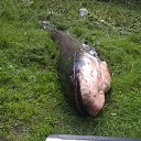 ���� ������, �����������, 62 ���� - ��������� 17 �������� 2021 � ������ ���� ����������