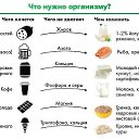 ���� *Bagira*, ����������� - ��������� 2 ������ 2021 � ������ ���� ����������