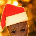 ���� ������, ������������, 38 ��� - ��������� 3 ������� 2021 � ������ ���� ����������