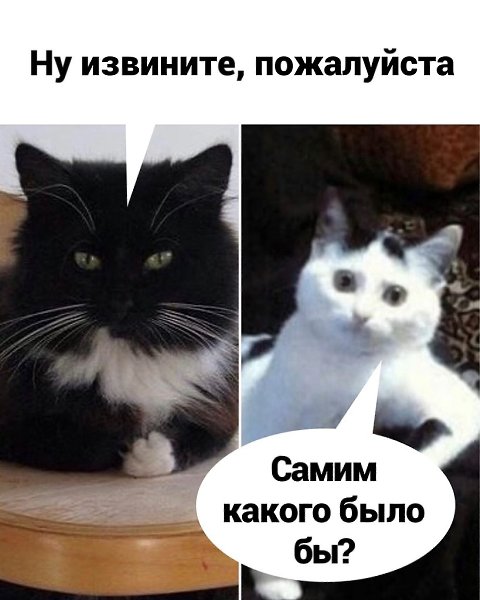 Интересный способ получить работу, стоит попробовать сделать так же: Шальная - 3