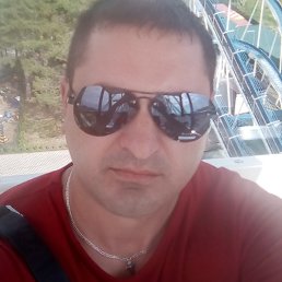 �����, �����������, 41 ���