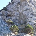 ���� ���������, ���������, 65 ��� - ��������� 1 ������� 2021 � ������ ���� ����������