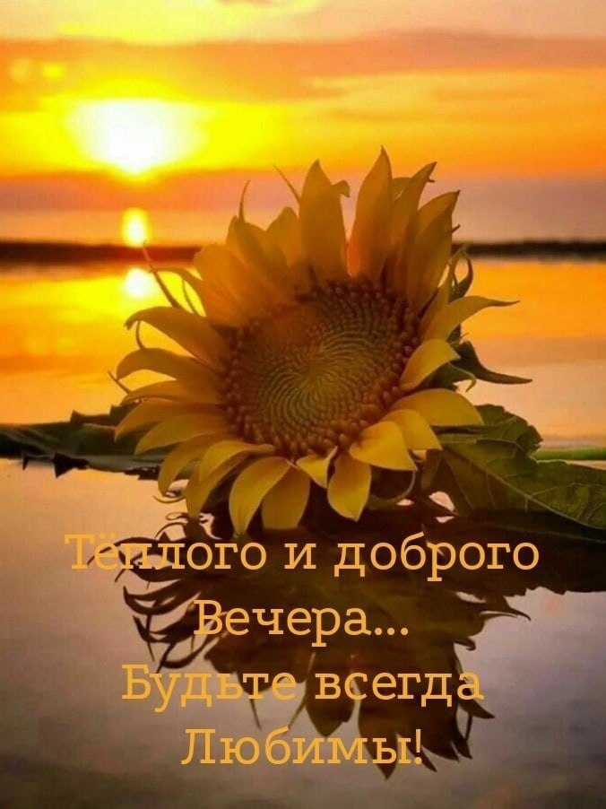 ����������� � ���������, �������� �� ������ ����. - 19 ������ 2021 � 18:08 - 4