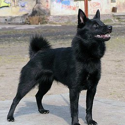 ��� �������!!!