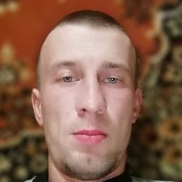 ����, �������, 40 ���