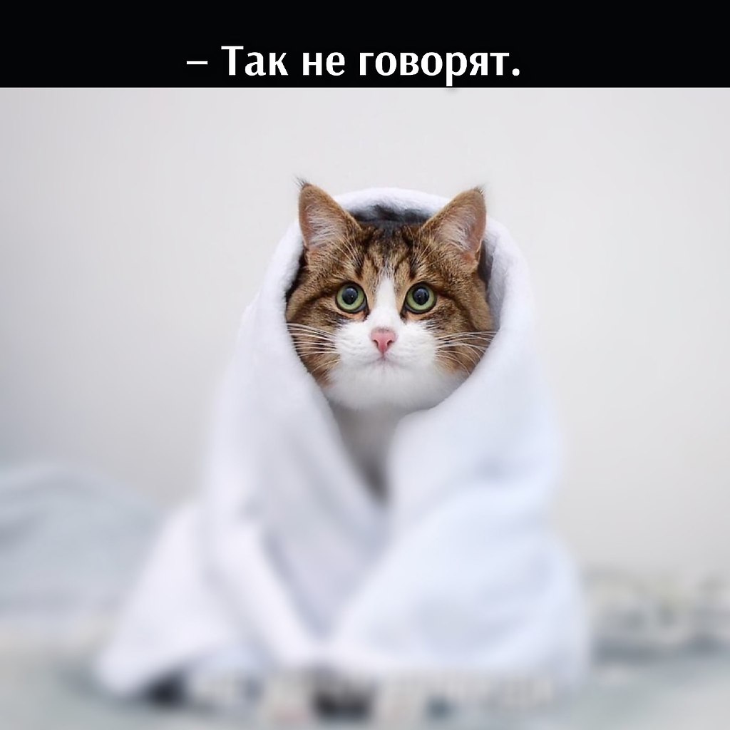       - 14  2021  22:32 - 2